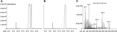 Exploiting in silico structural analysis to introduce emerging genotype–phenotype correlations in DHCR24-related sterol biosynthesis disorder: a case study